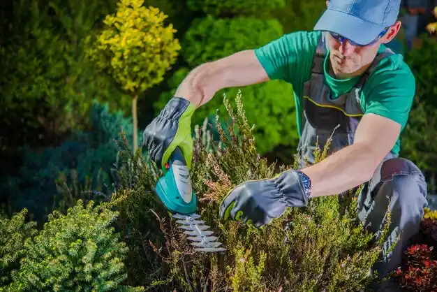 landscaping services High Ridge